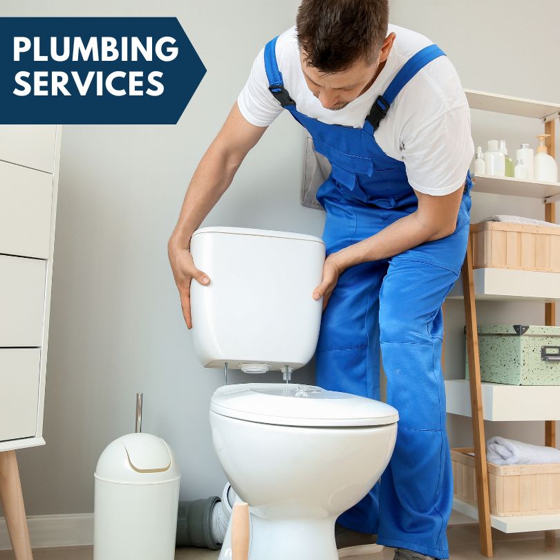 Plumbing Company in Olmsted, IL